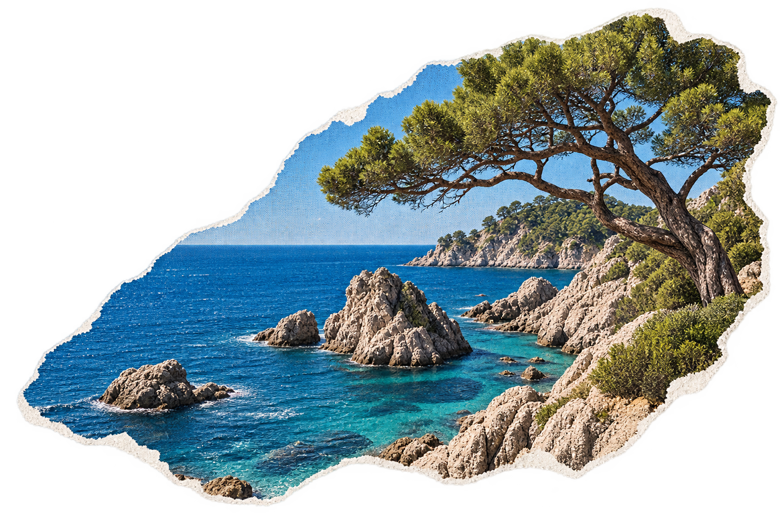 Cala rocosa de la Costa Brava